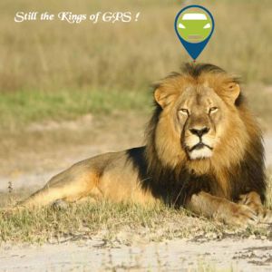 GPS-Tracking-Wild-Animals Animal GPS Tracking