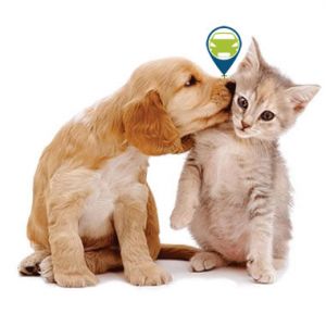 GPS for Pets Tracking Pets using GPS